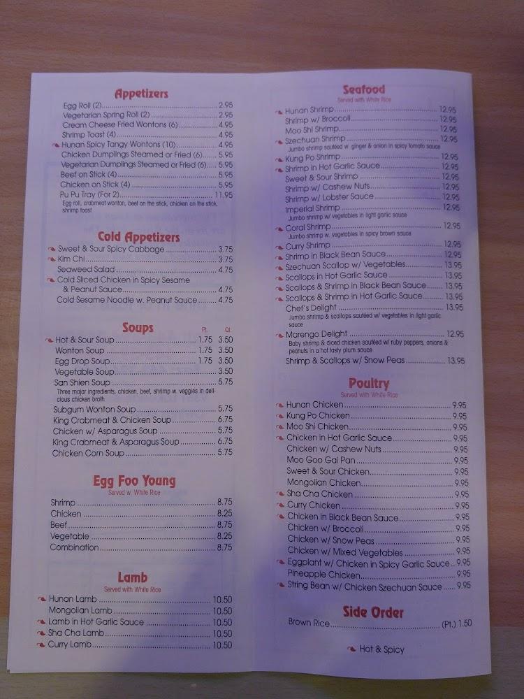 Asian Kitchen Dish 4